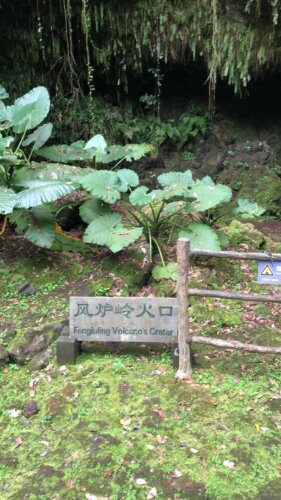 WhatsApp-Image-2018-11-17-at-2.12.41-PM-1