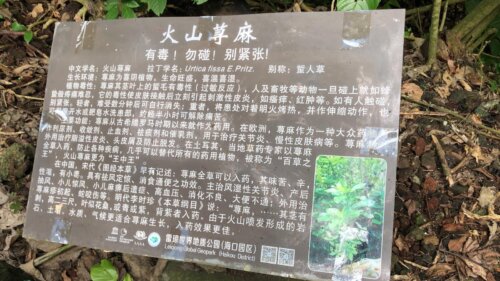 WhatsApp-Image-2018-11-17-at-2.12.41-PM